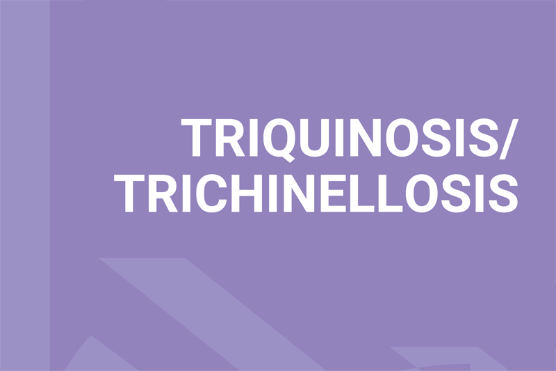 portada: titulo Triquinosis/Trichnellosis sobre fondo plano violeta