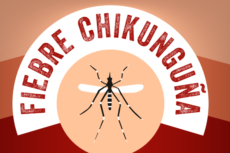 Boletín Especial - Fiebre chikungunya: Información para municipios