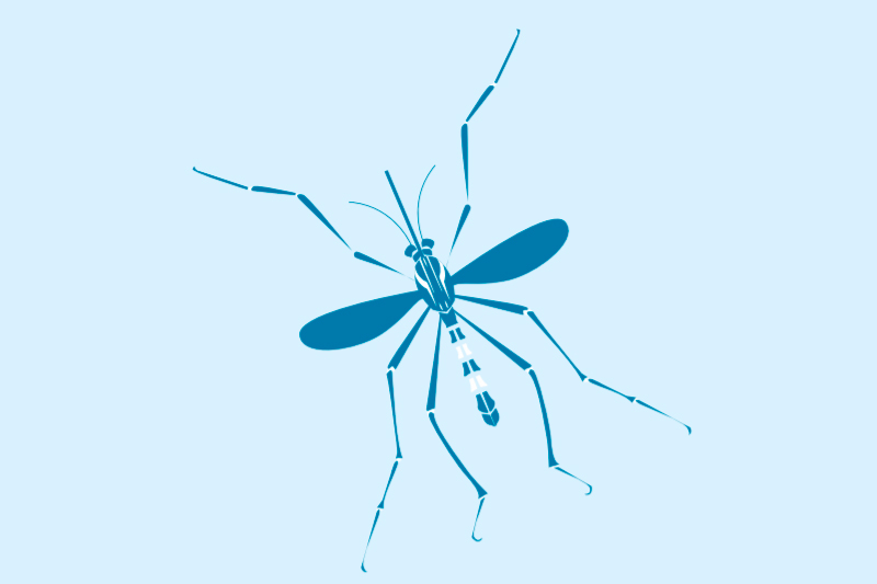 Síntomas y Prevención. Campaña Dengue, Chikungunya y Zika 2016