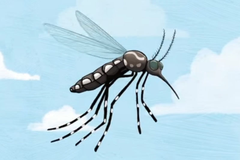 Banco de Recursos de Comunicación del Ministerio de Salud de la Nación |  Prevención - Campaña dengue, chikungunya y zika 2016.
