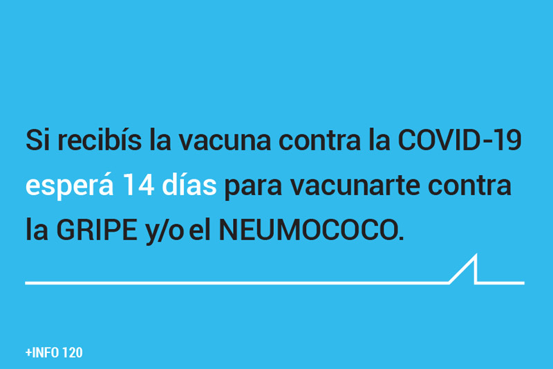 texto tipografía en negro sobre fondo celeste: si recibis vacuna contra covid19 esperá 14 días para vacunarte contra la gripe y/o neumococo